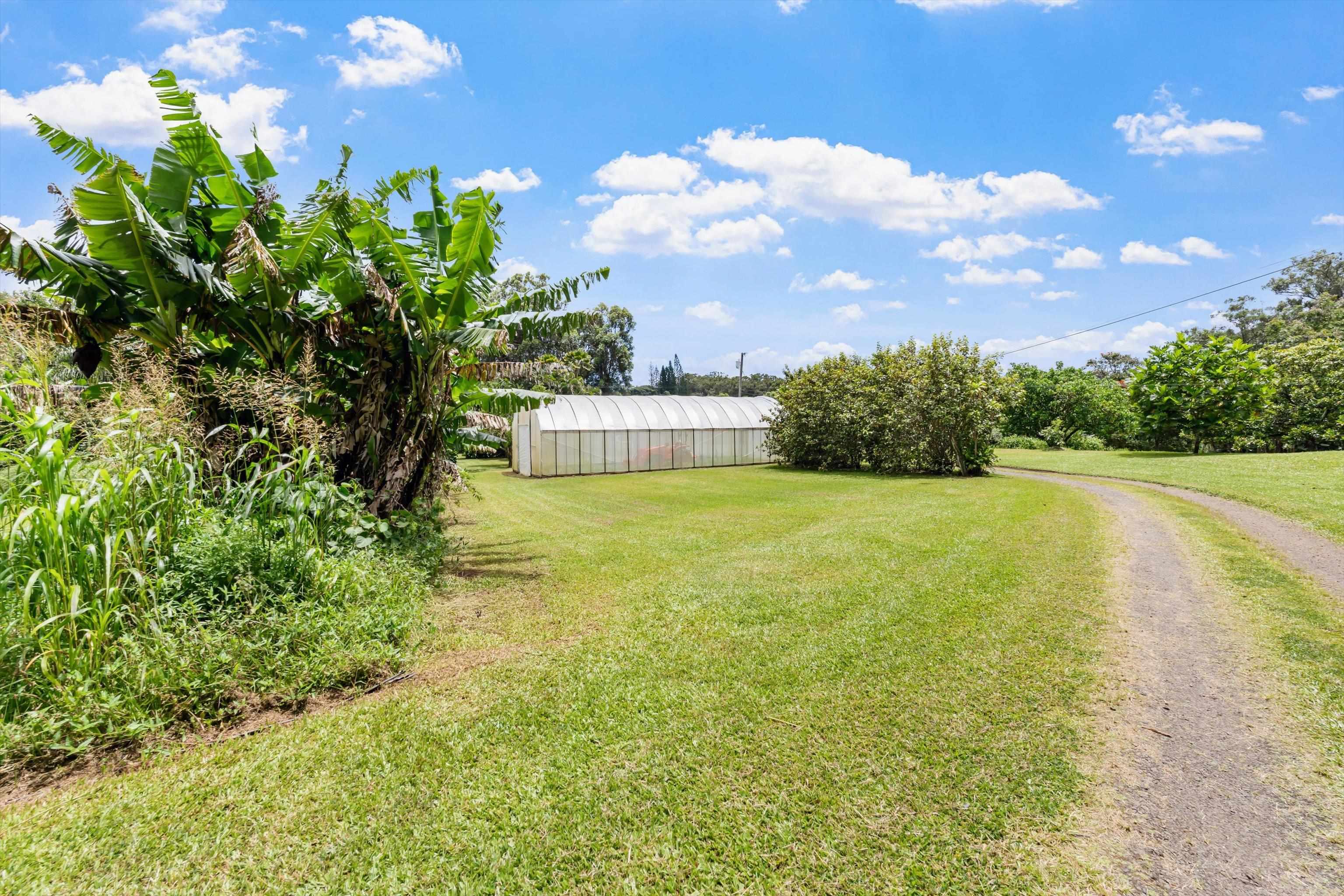 169 Waipalani Road Haiku, HI 96708 - Photo 44 of 50