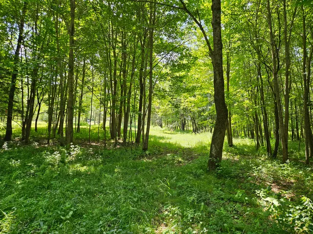 $140,000 | 133 Farmington Me 04938, Farmington, ME 04938