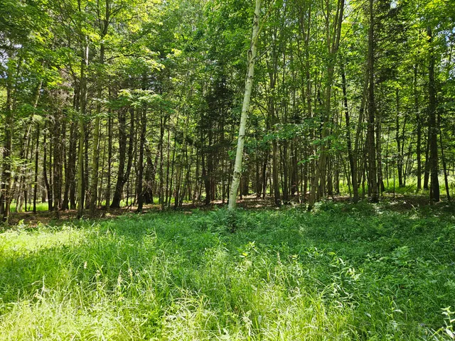 $140,000 | 133 Farmington Me 04938, Farmington, ME 04938