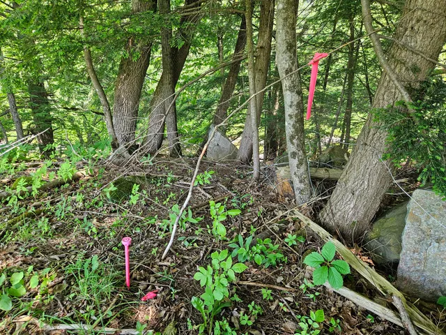 $140,000 | 133 Farmington Me 04938, Farmington, ME 04938