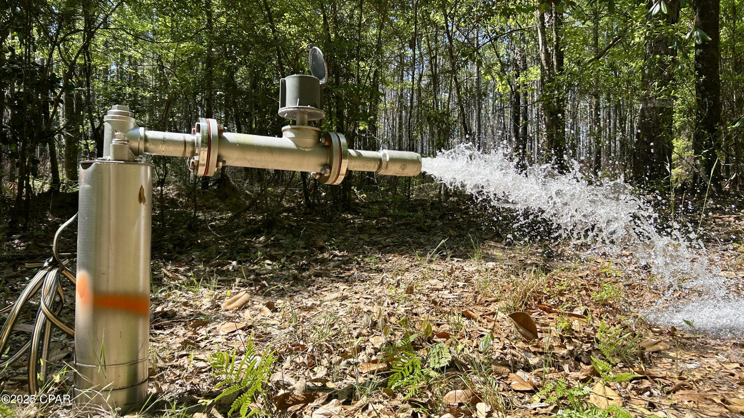 4264 Cleveland Road Baker, FL 32531 - Photo 11 of 36