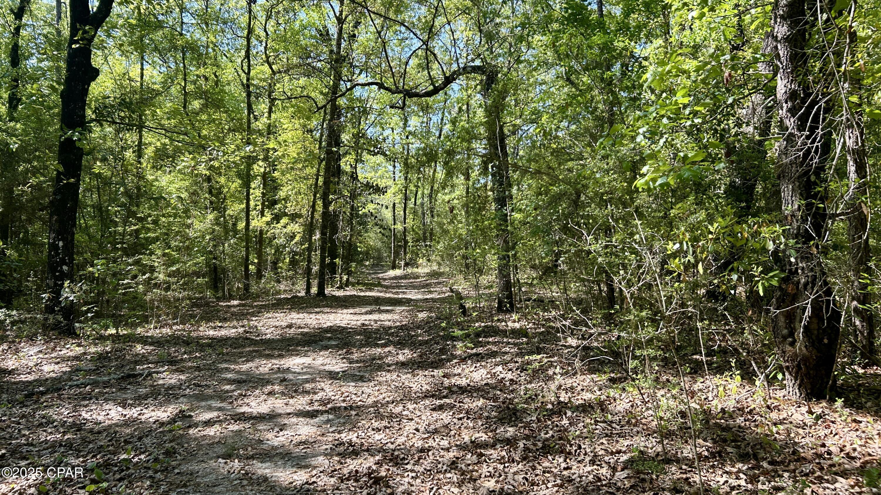 4264 Cleveland Road Baker, FL 32531 - Photo 13 of 36