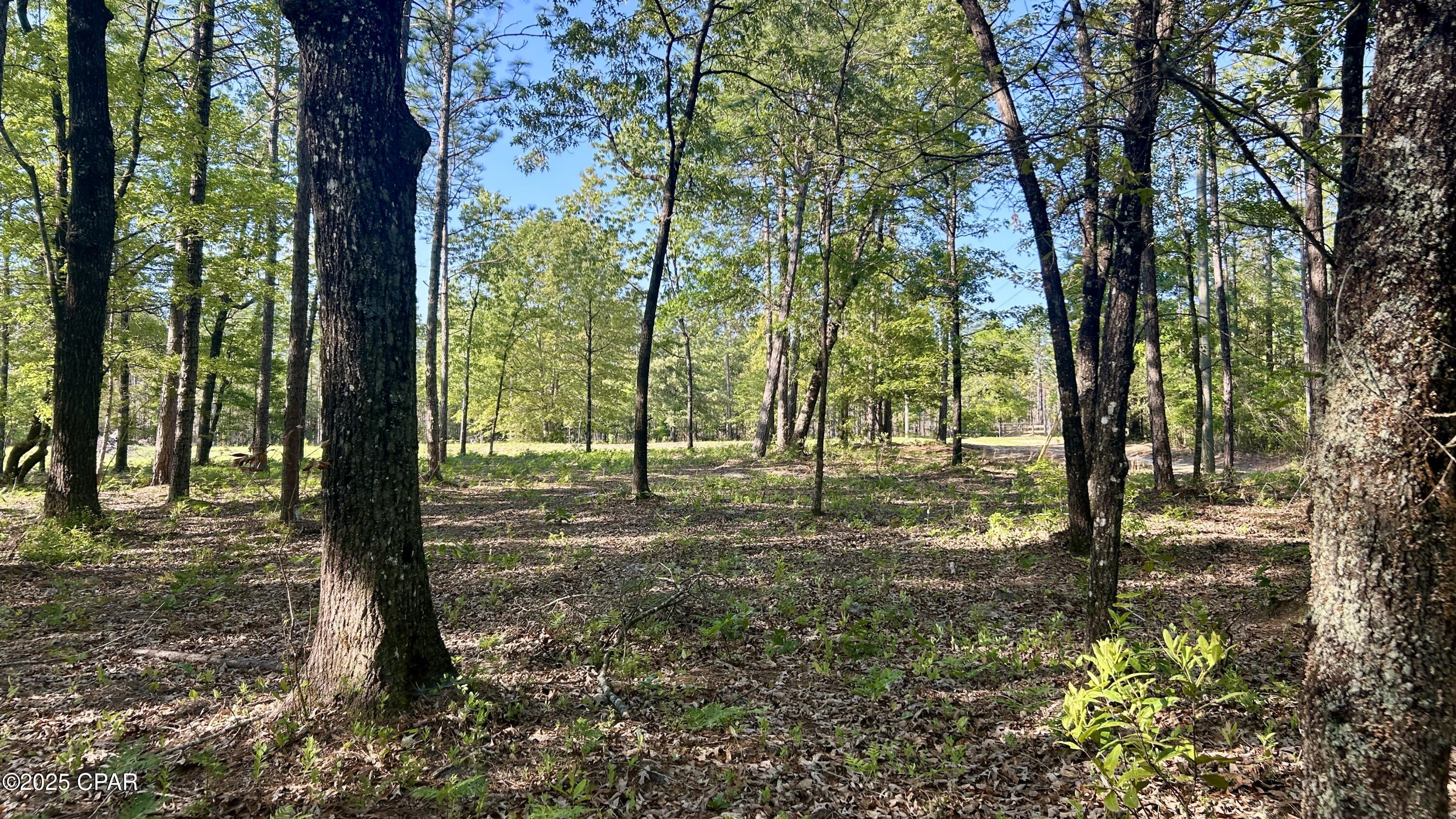 4264 Cleveland Road Baker, FL 32531 - Photo 20 of 36