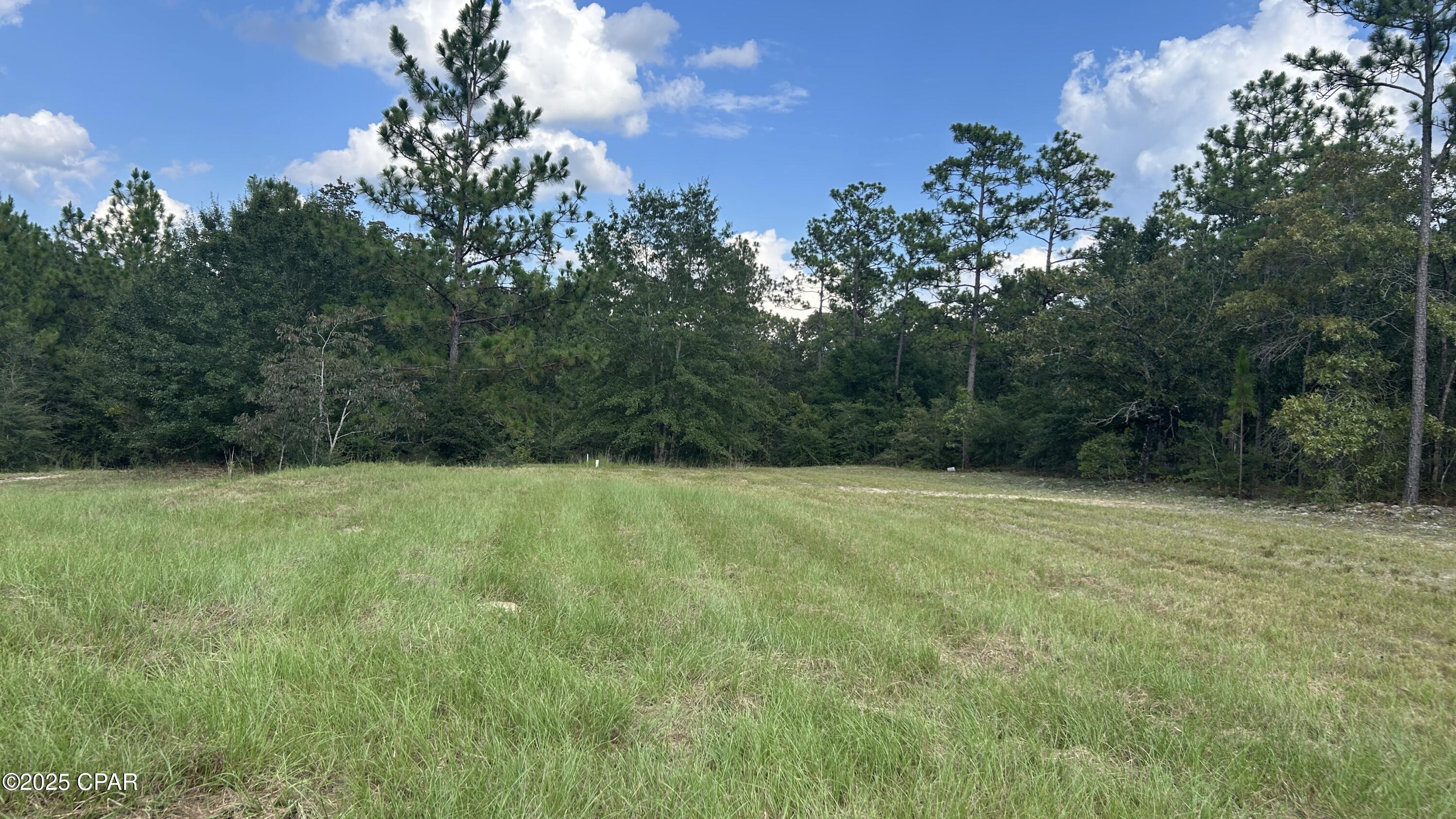 4264 Cleveland Road Baker, FL 32531 - Photo 21 of 36