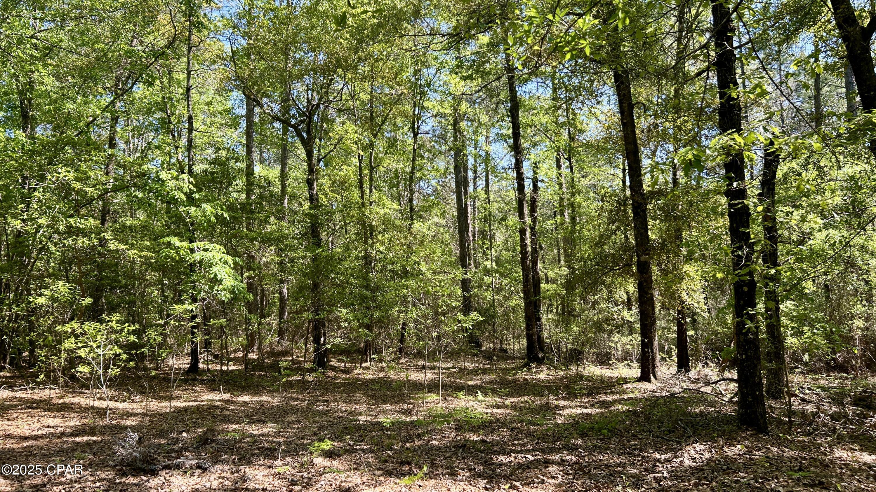 4264 Cleveland Road Baker, FL 32531 - Photo 26 of 36