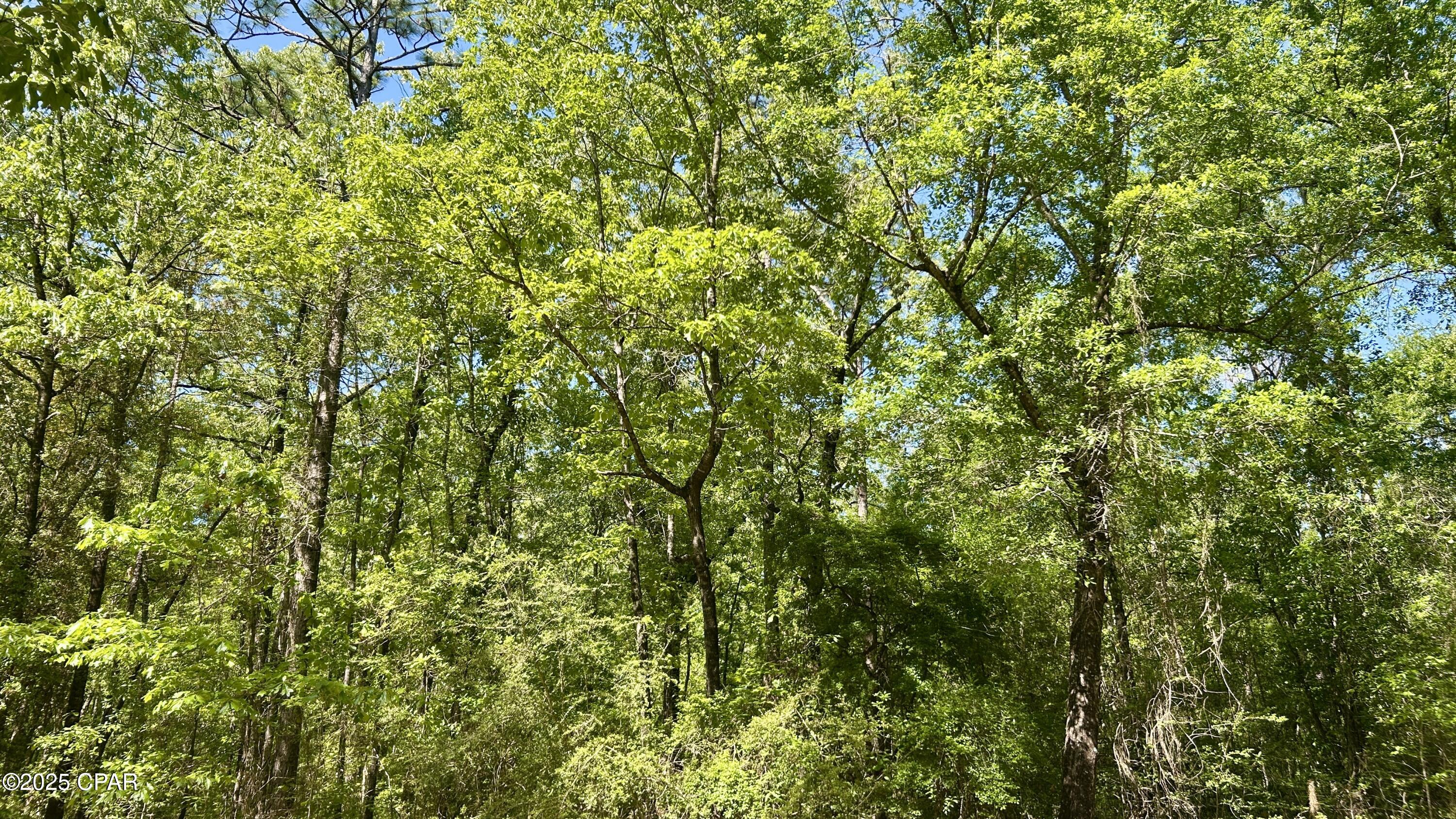 4264 Cleveland Road Baker, FL 32531 - Photo 27 of 36