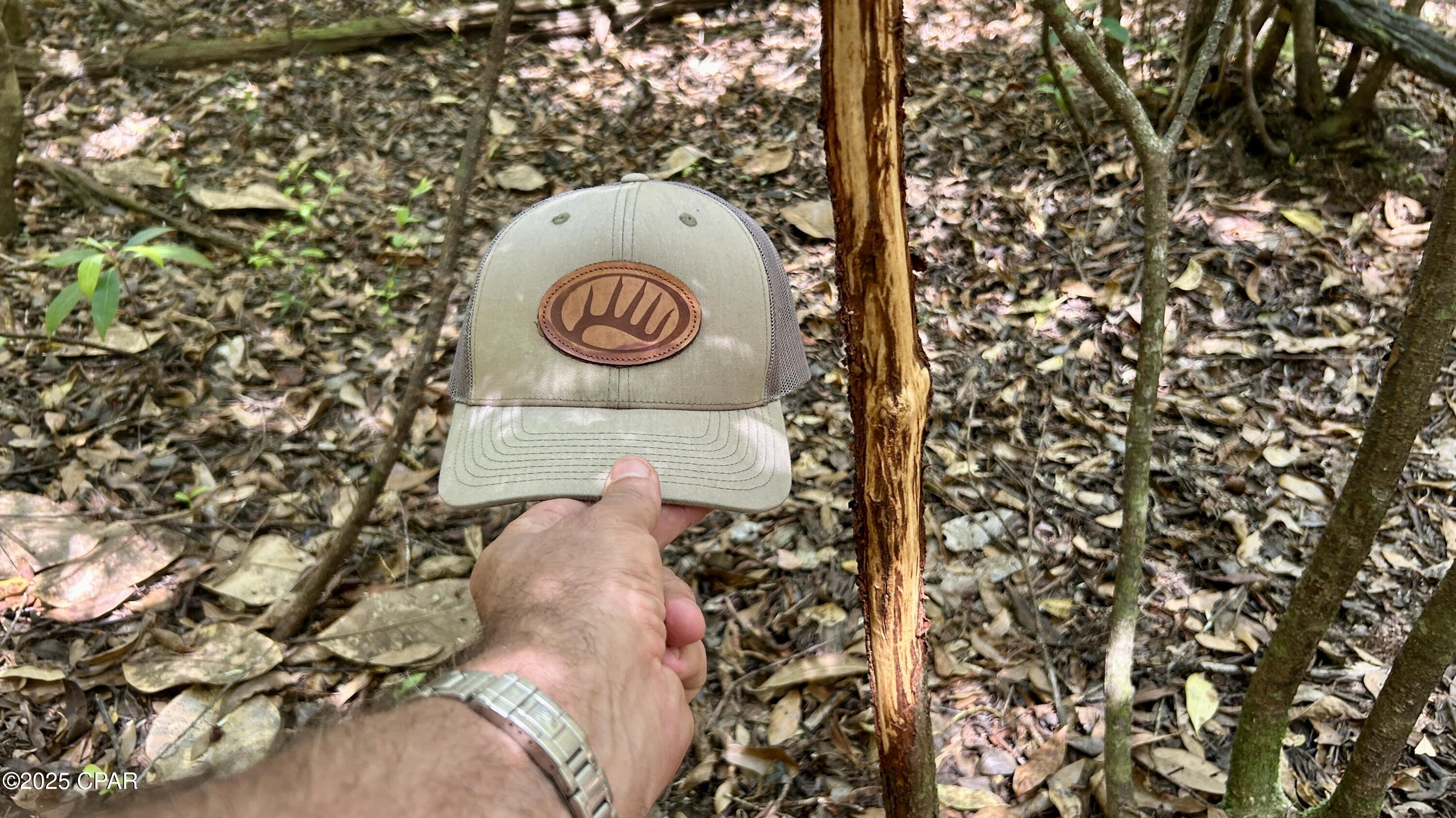 4264 Cleveland Road Baker, FL 32531 - Photo 29 of 36