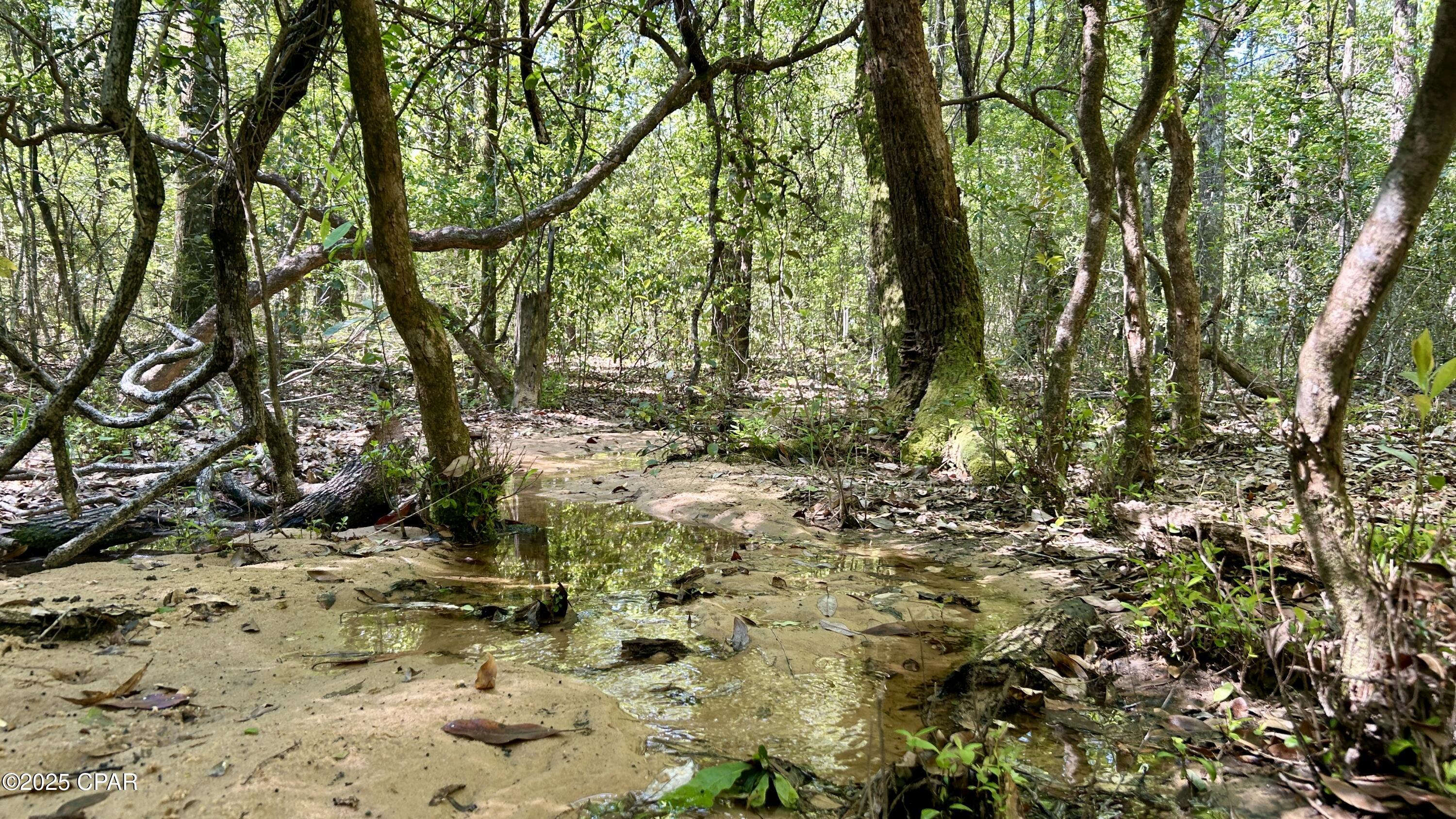 4264 Cleveland Road Baker, FL 32531 - Photo 31 of 36