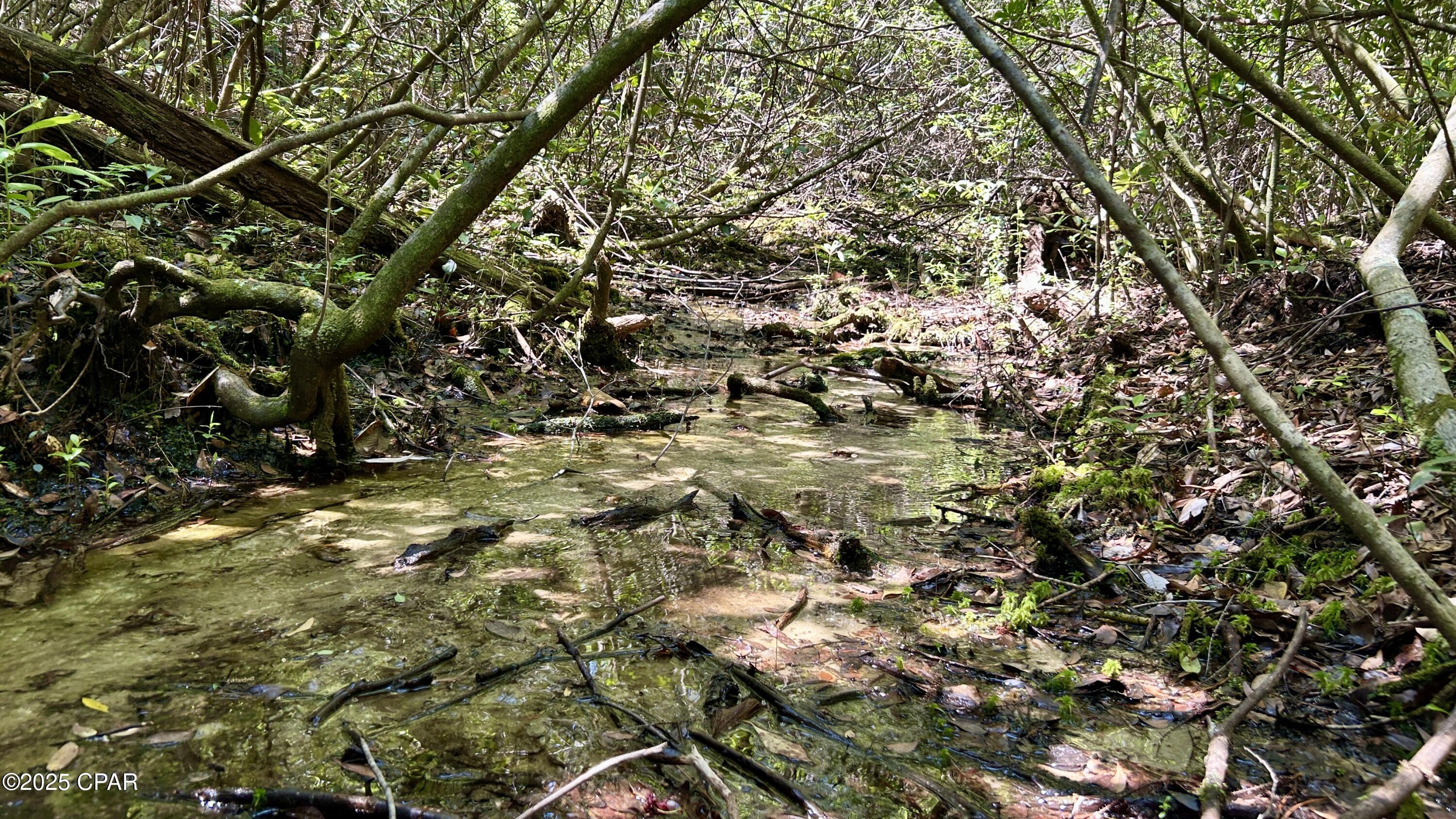 4264 Cleveland Road Baker, FL 32531 - Photo 32 of 36