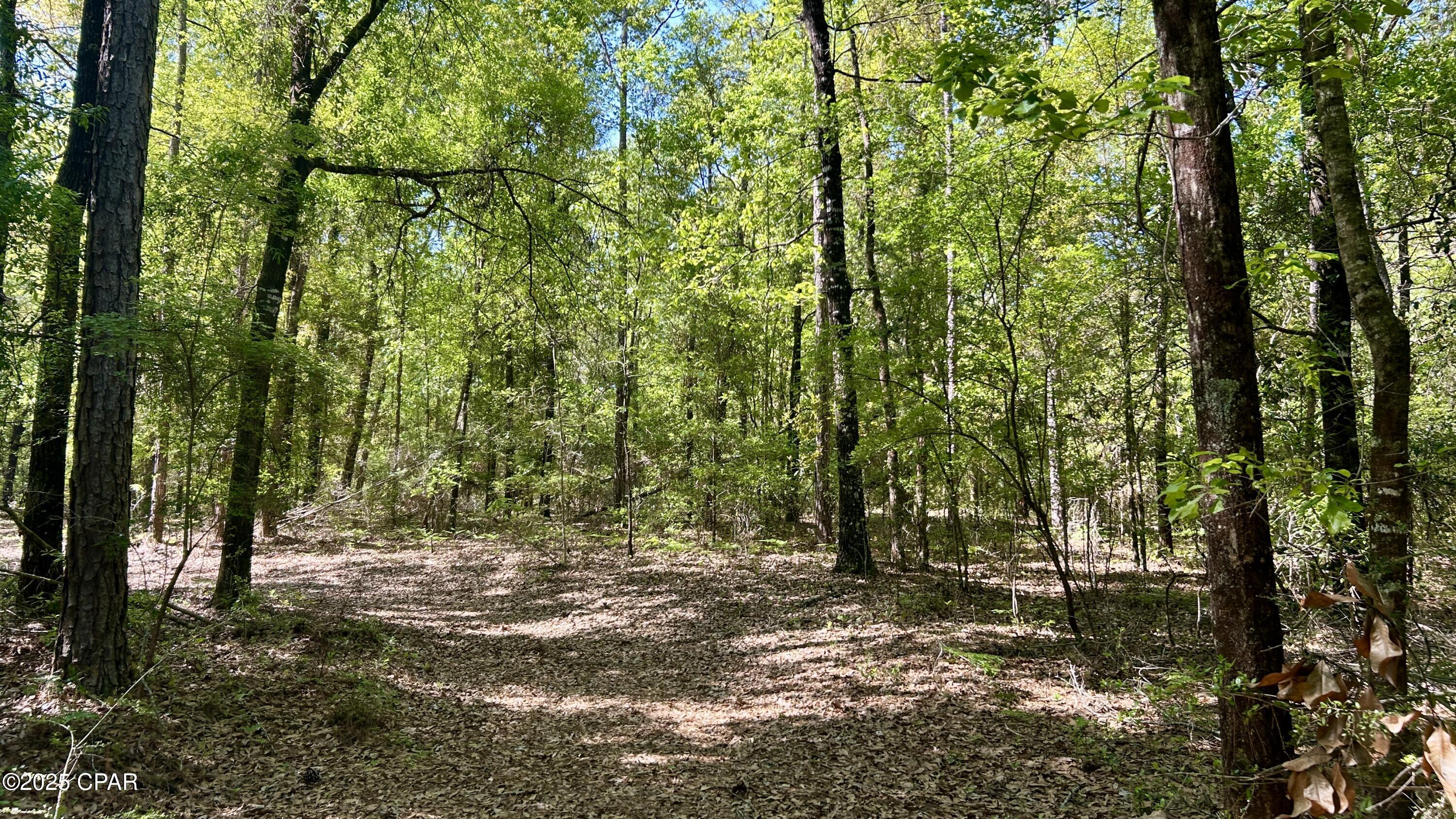 4264 Cleveland Road Baker, FL 32531 - Photo 33 of 36