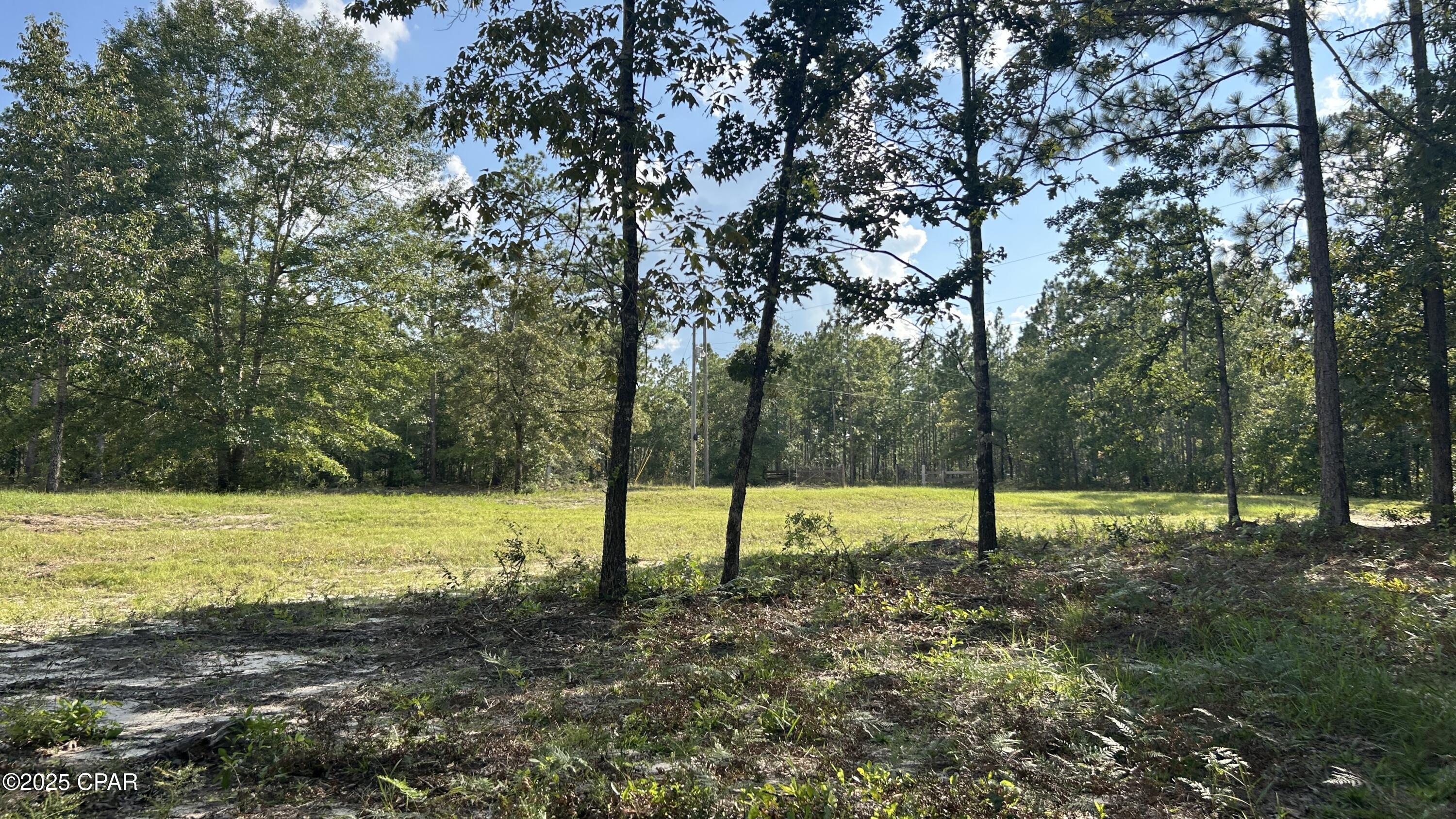 4264 Cleveland Road Baker, FL 32531 - Photo 34 of 36