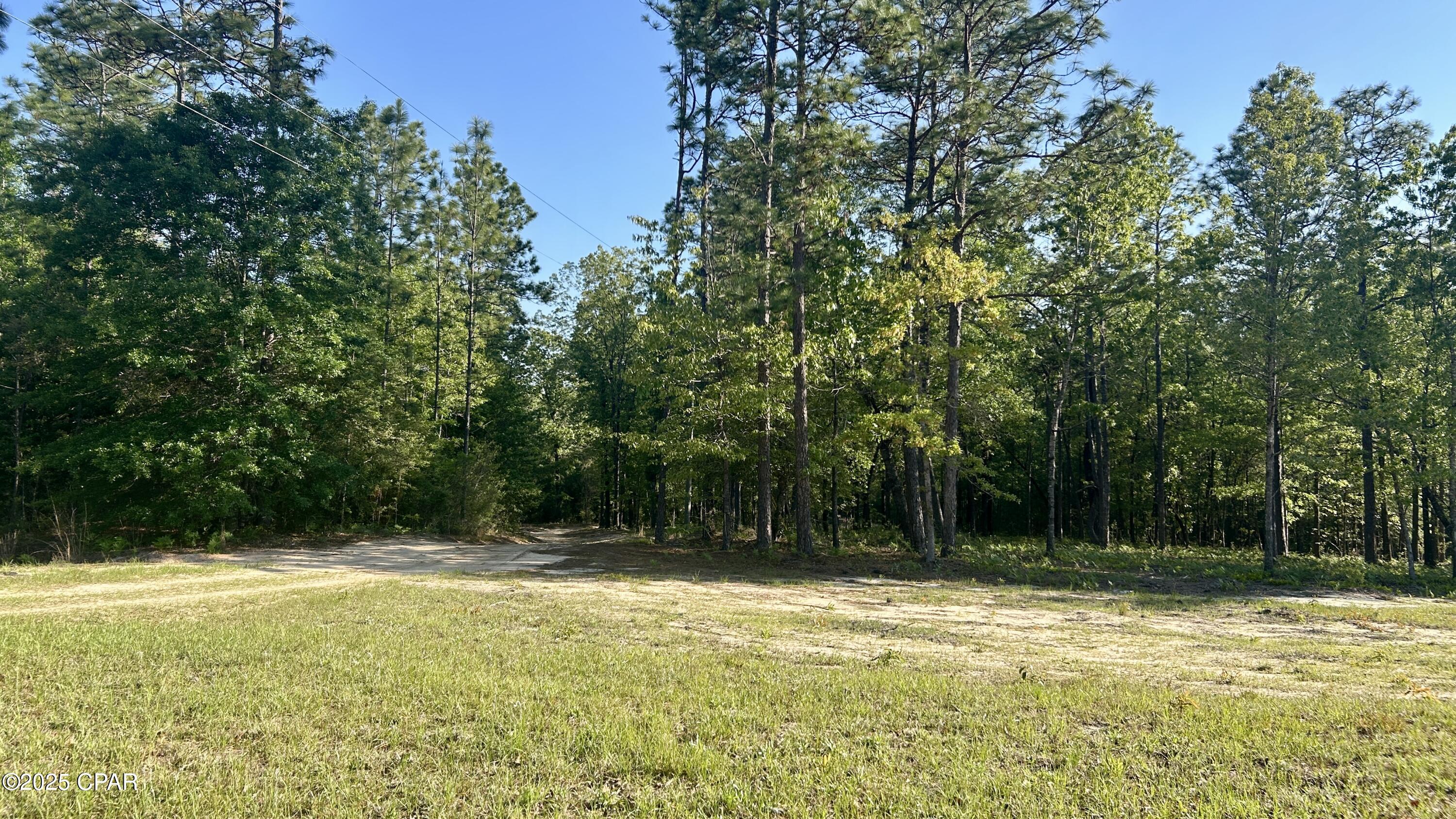 4264 Cleveland Road Baker, FL 32531 - Photo 8 of 36