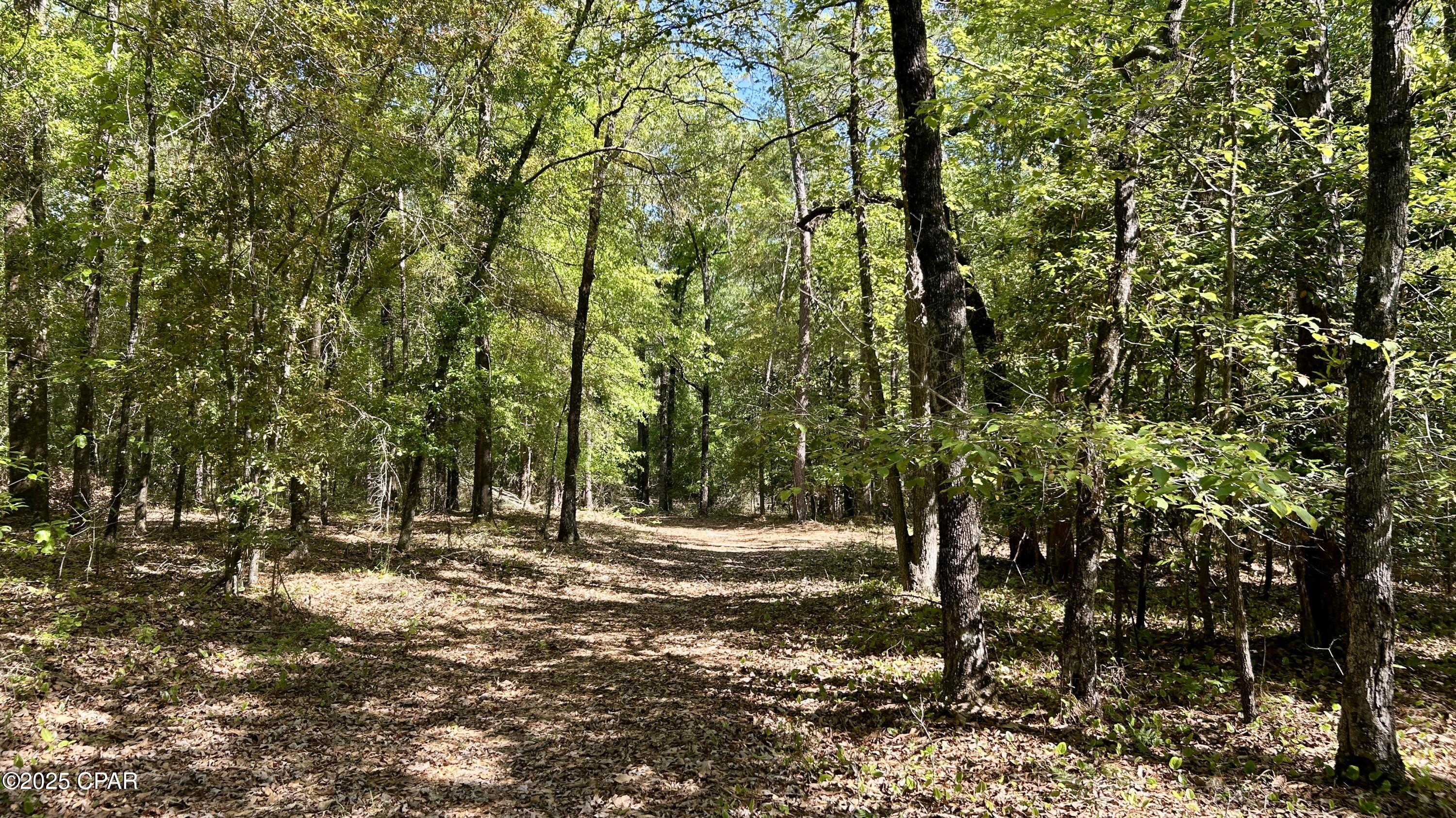 4264 Cleveland Road Baker, FL 32531 - Photo 10 of 36