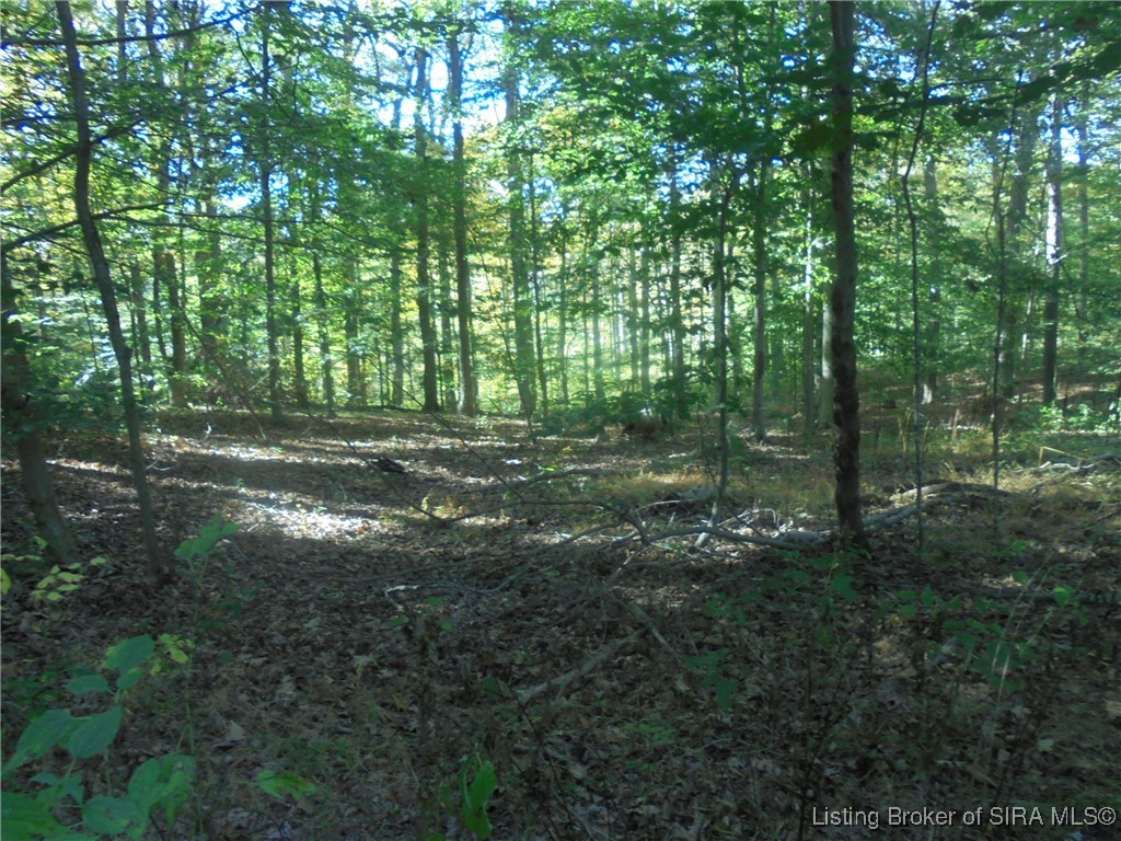 798 East Brown Road Pekin, IN 47165 - Photo 95 of 98 Wooded acreage with paths.