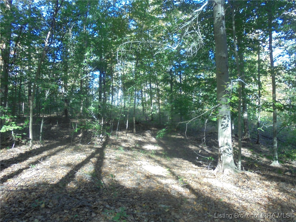 798 East Brown Road Pekin, IN 47165 - Photo 96 of 98 Wooded acreage with paths.