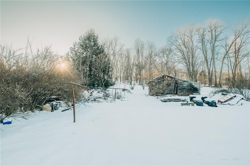 71 Maple Street Burnside, PA 15721 - Photo 5 of 24 a view of outdoor space yard and trees