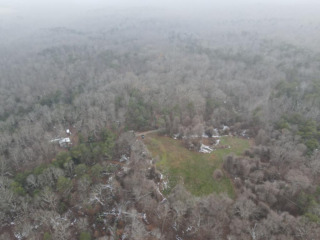 Coal Road Loop Crofton, KY 42217 - Photo 6 of 17 Gallery Image 6