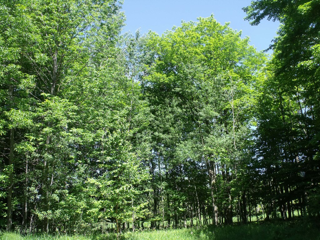 Mount Lookout Road Sturgeon Bay, WI 54235 - Photo 2 of 2
