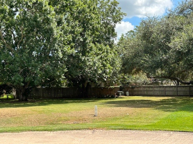 33307 Whiting Street Fulshear, TX 77441 - Photo 3 of 6 a view of swimming pool and trees in the background