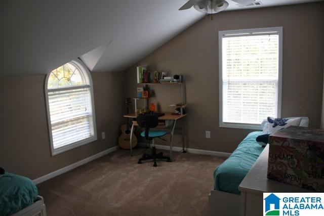 250 Oak Valley Road Springville, AL 35146 - Photo 21 of 50 Gallery Image 21