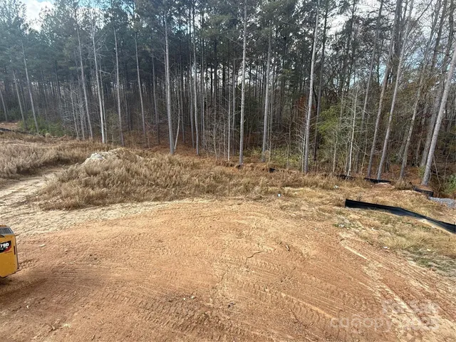 a view of house with backyard and trees