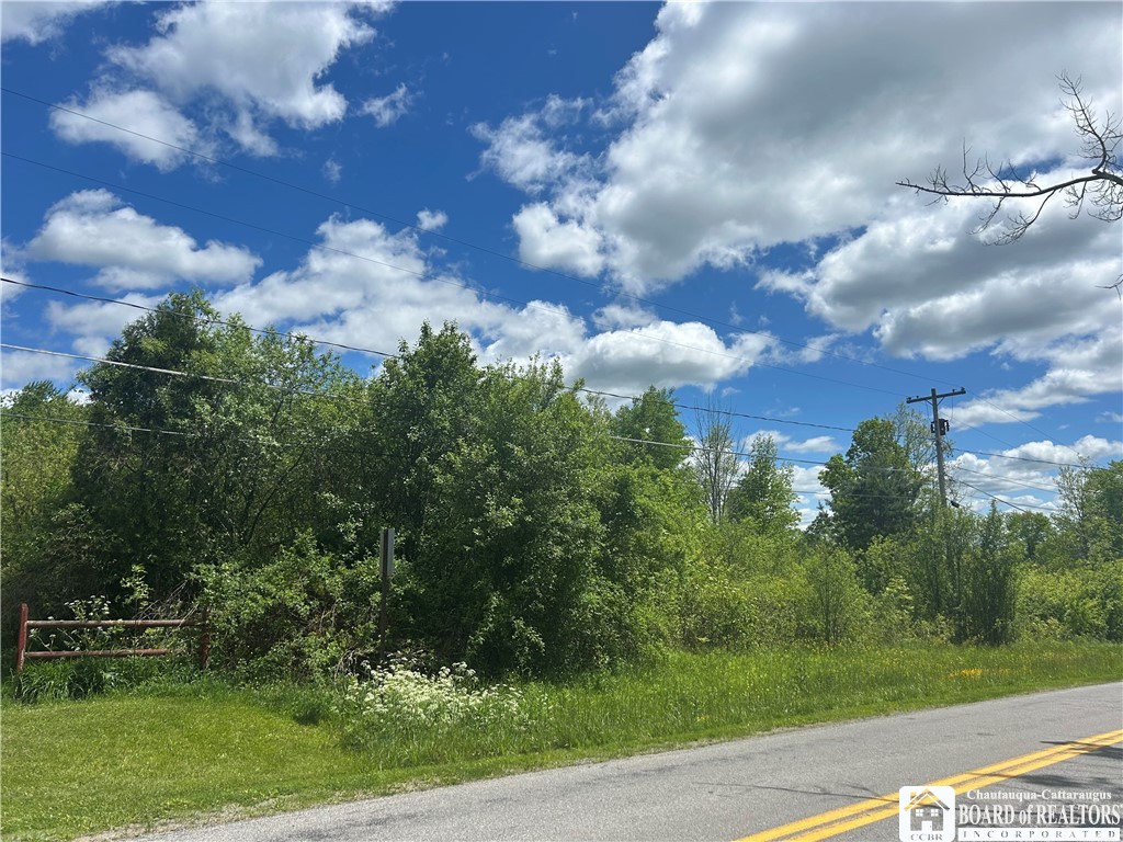 Belleview Road East Bemus Point, NY 14712 - Photo 3 of 6