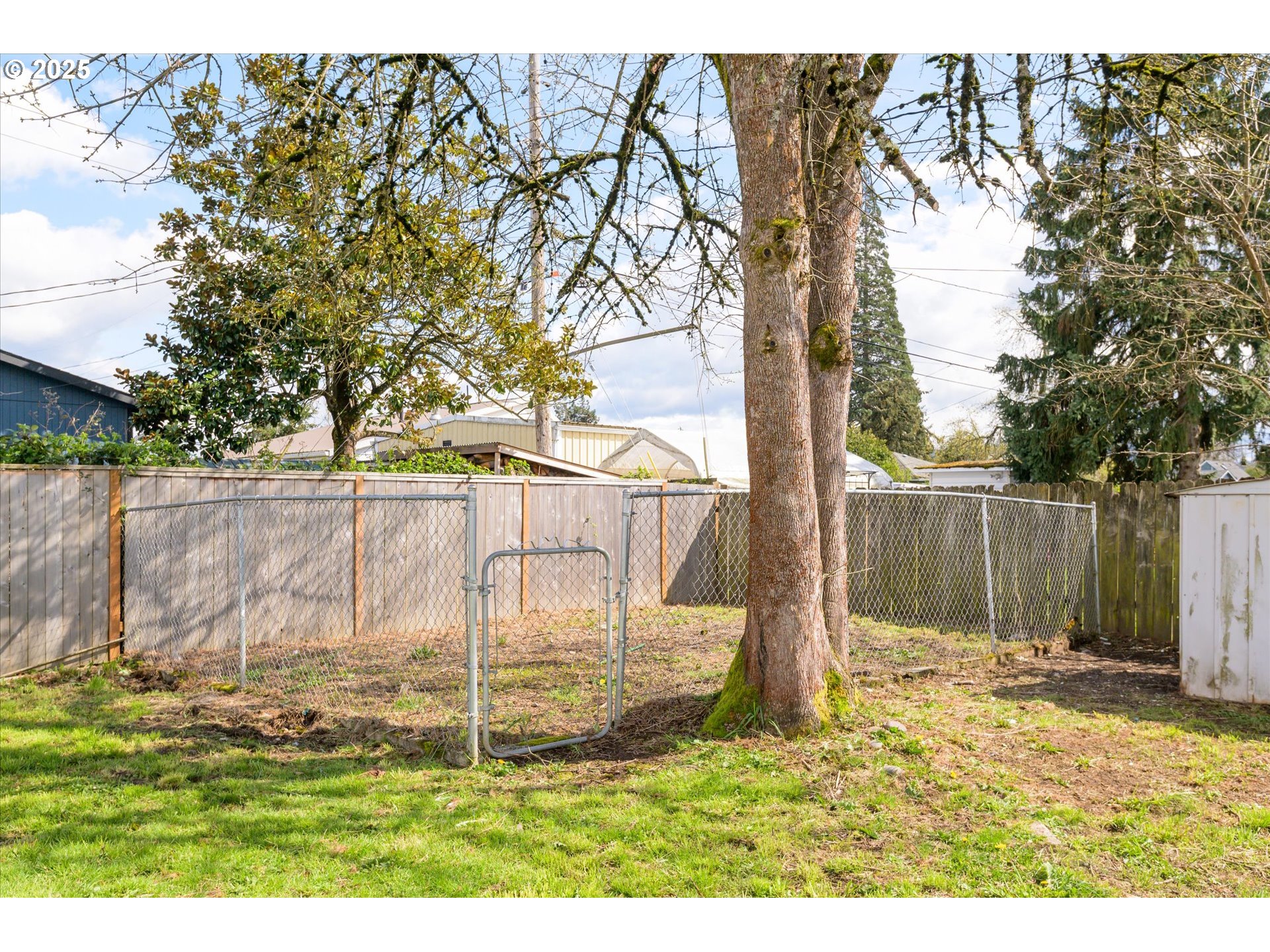 465 25th Street Springfield, OR 97477 - Photo 29 of 32 a backyard of a house