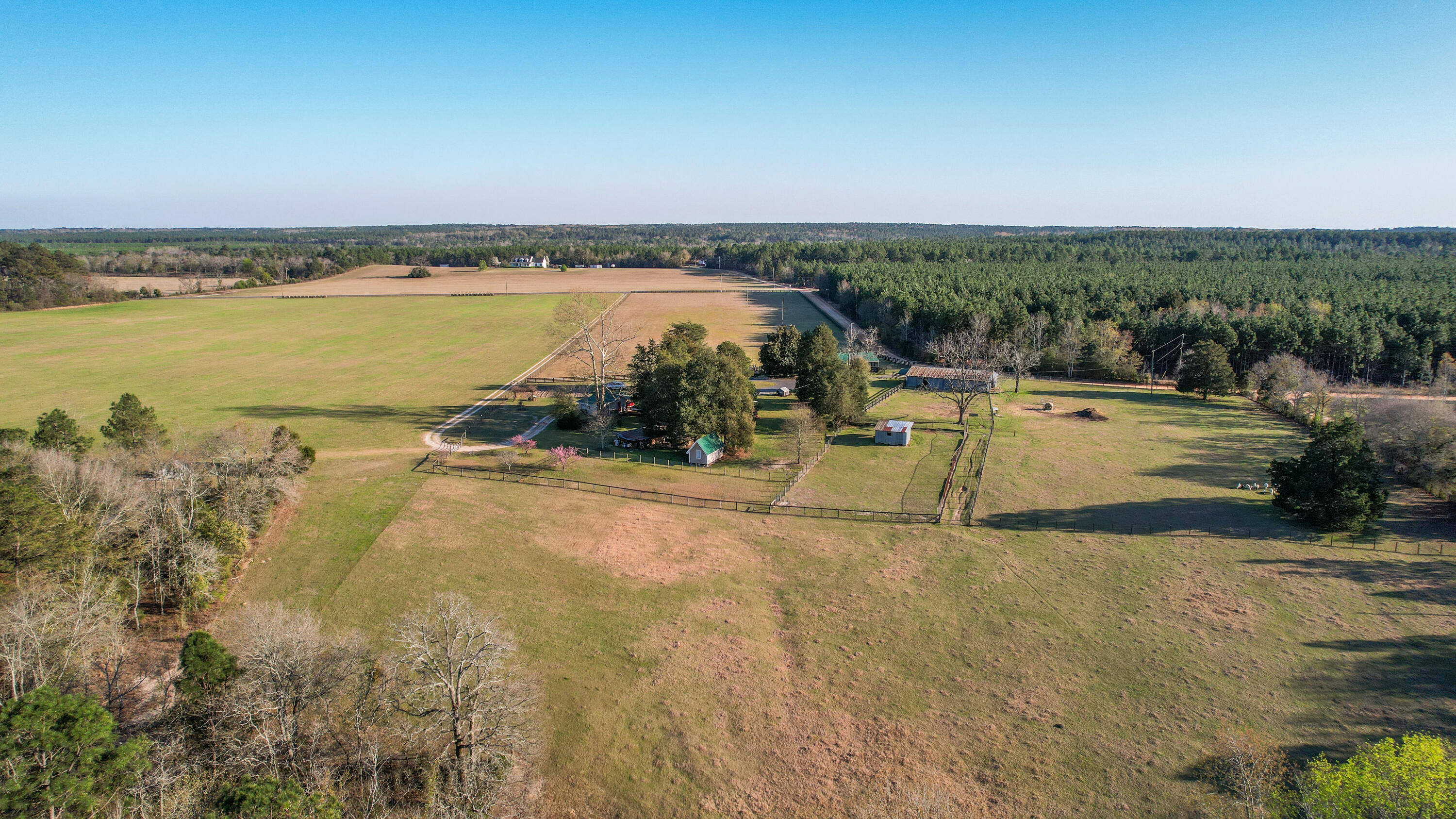 968 Gunter Pond Road Wagener, SC 29164 - Photo 11 of 53