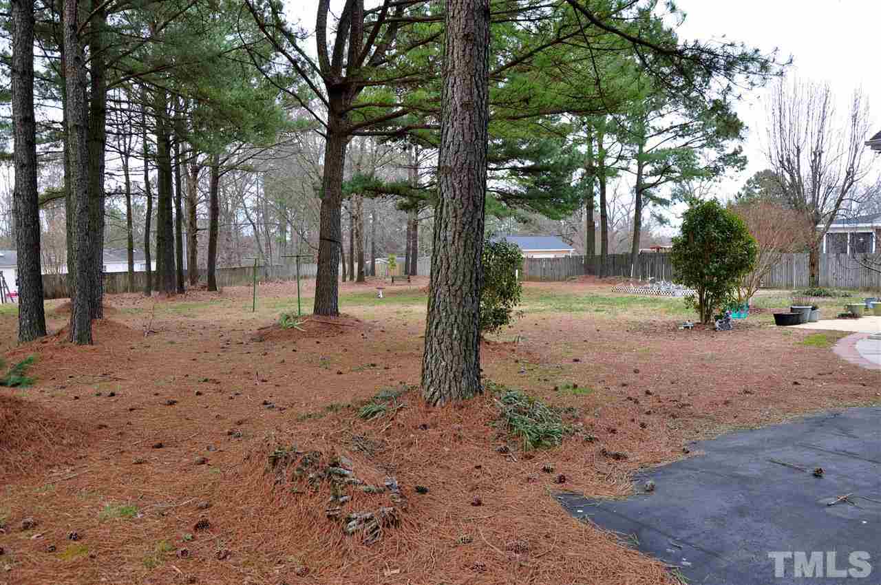 4336 Rockside Hills Drive Raleigh, NC 27603 - Photo 21 of 21