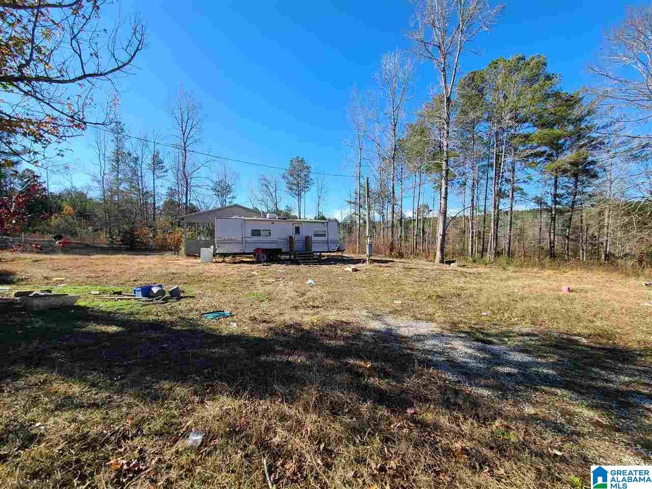3360 Possum Trot Road Piedmont, AL 36272 - Photo 3 of 7