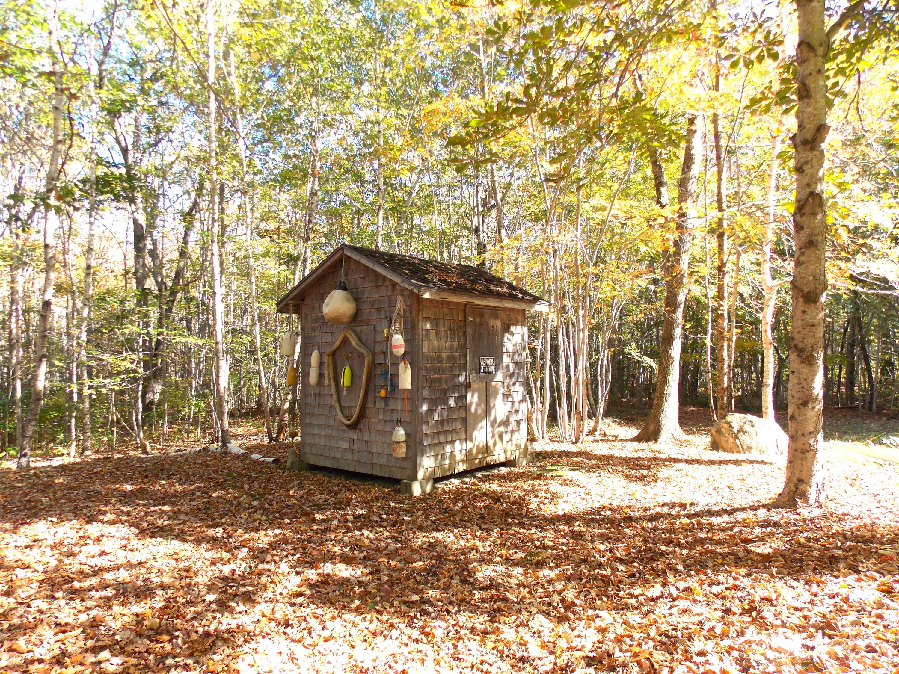 173 Bog Road Northport, ME 04849 - Photo 9 of 30 DSCN2451-2