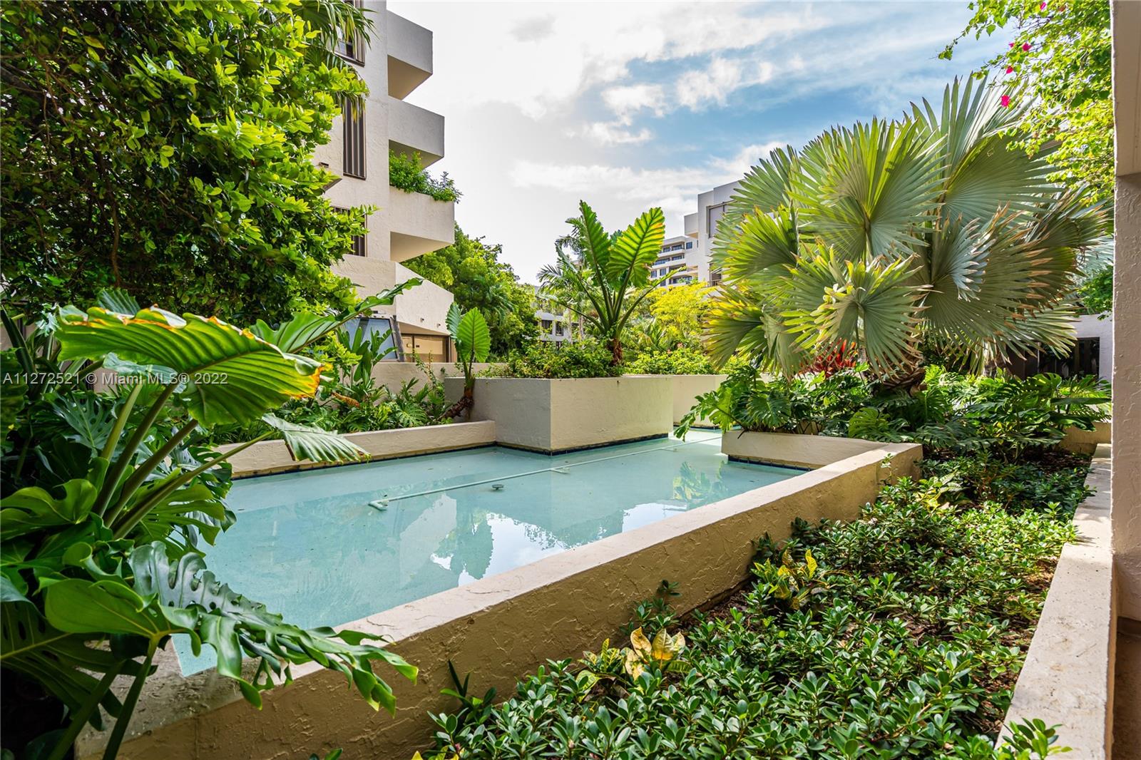 101 Crandon Boulevard, Unit 267 Key Biscayne, FL 33149 - Photo 39 of 57 a view of a plants with a flower in a garden