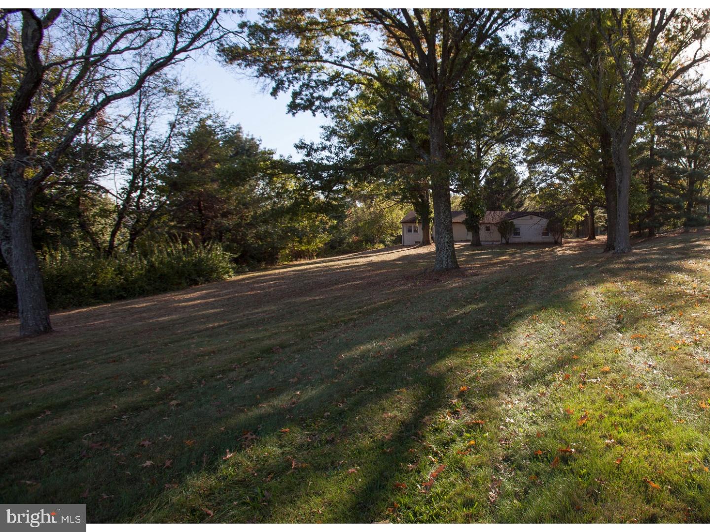 2537 Mill Road Buckingham, PA 18902 - Photo 21 of 22 Back Yard