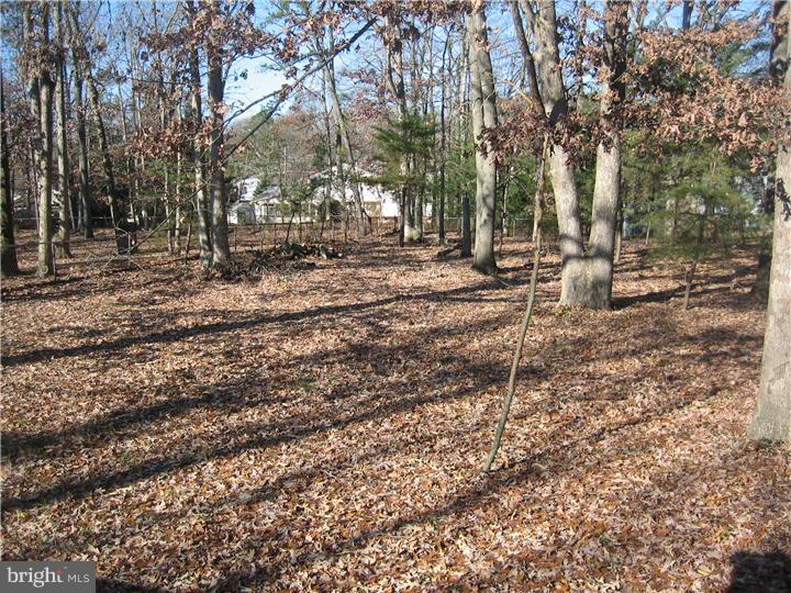 37 Colgate Road Atco, NJ 08004 - Photo 13 of 13 Gallery Image 13