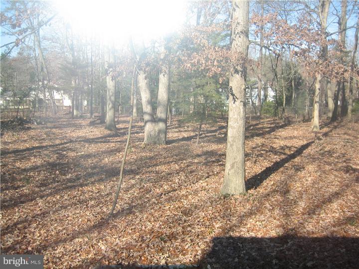 37 Colgate Road Atco, NJ 08004 - Photo 9 of 13 Gallery Image 9