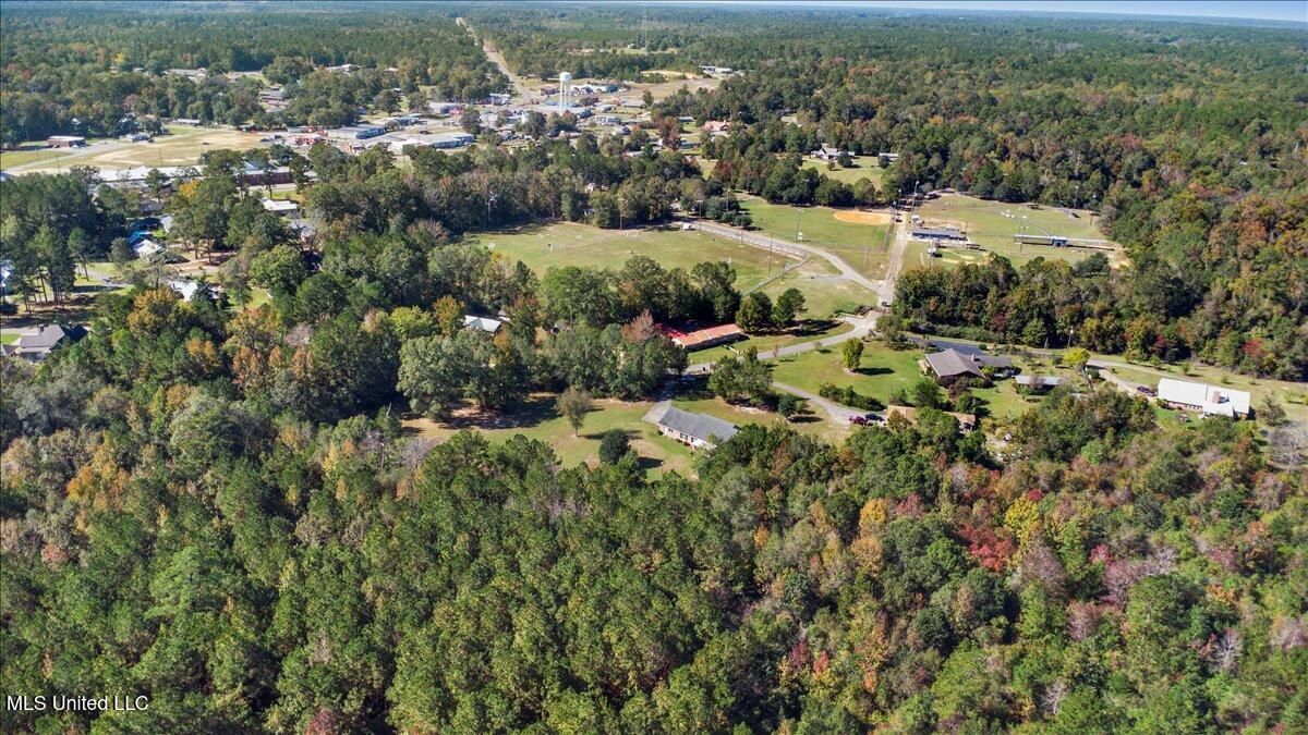 2118 Paulding Road Leakesville, MS 39451 - Photo 33 of 34 City of Leakesville