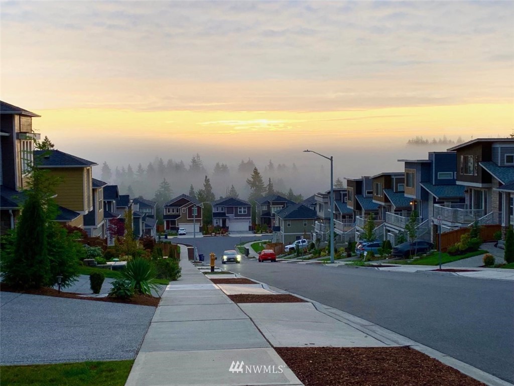 318 181st Street Southeast Bothell, WA 98012 - Photo 22 of 24 a city street lined with tall buildings