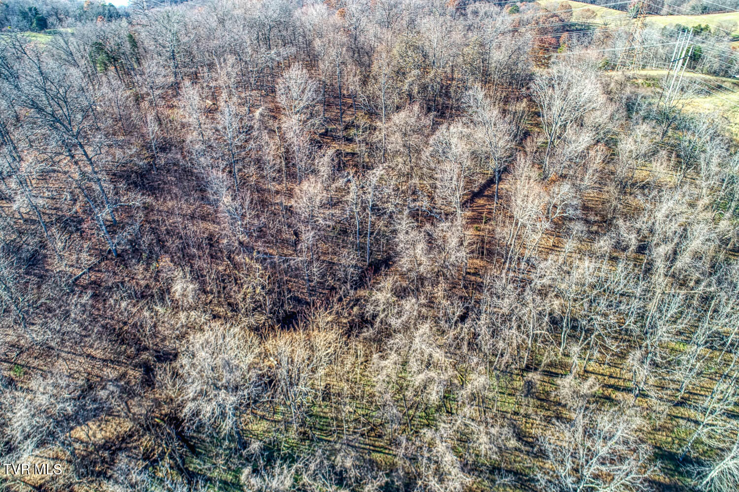 Tbd2 Chestnut Town Road Rogersville, TN 37857 - Photo 12 of 22 Chestnutt 2 MLSb TBD2 Chestnutt (10 of 2