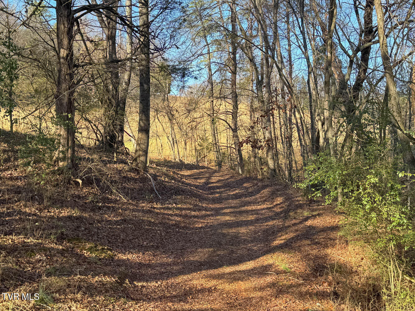Tbd2 Chestnut Town Road Rogersville, TN 37857 - Photo 15 of 22 Chestnutt 2 MLSb TBD2 Chestnutt (14 of 2