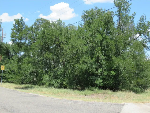 a view of a yard with a plant