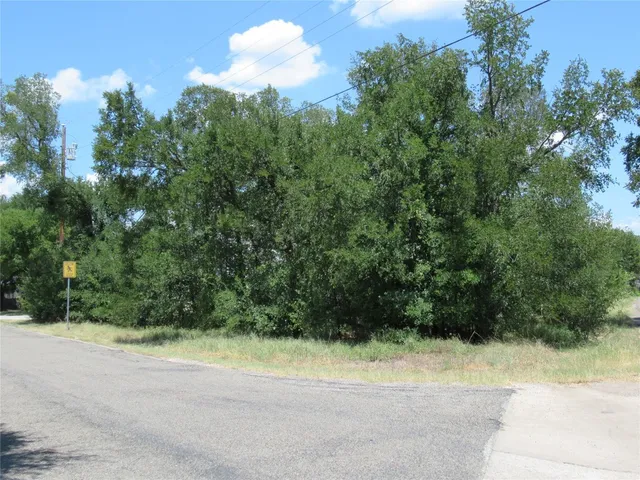 a view of a yard with a plant