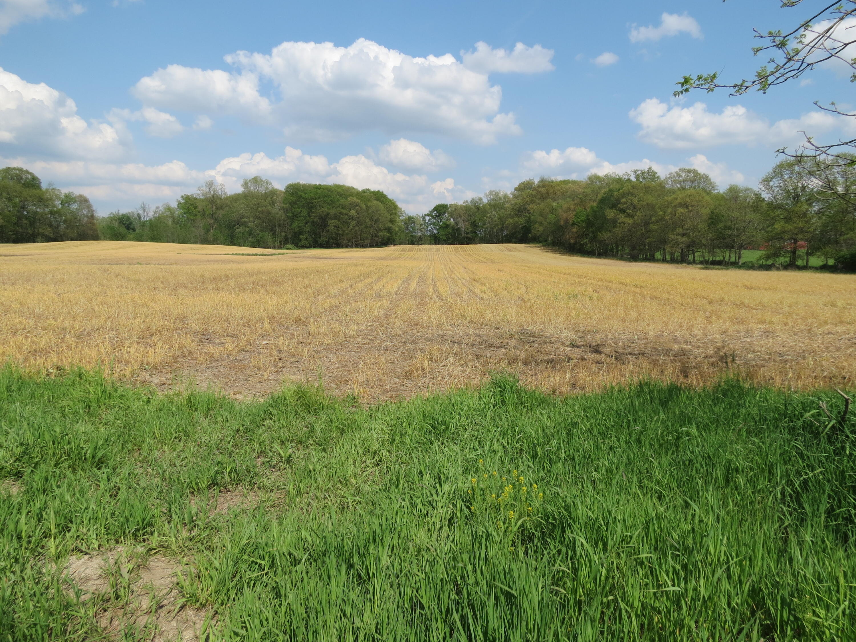 South Stony Lake Road, Unit A Jackson, MI 49201 - Photo 6 of 39 IMG_4239 - Copy