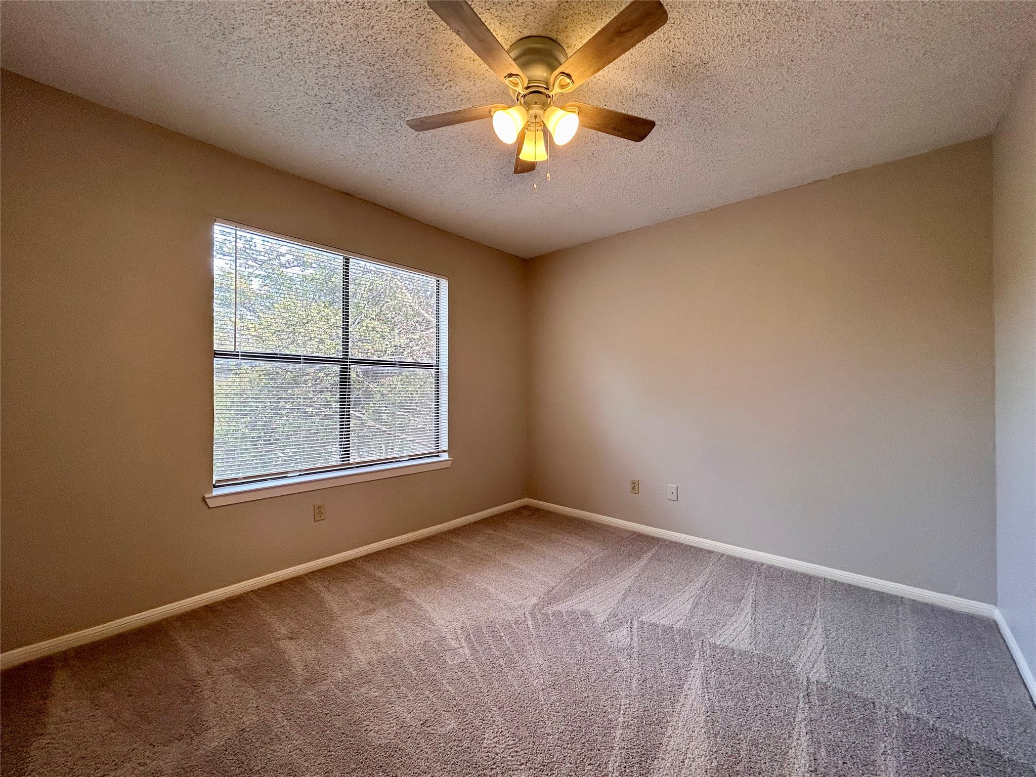 8910 Schick Road, Unit C Austin, TX 78729 - Photo 12 of 21