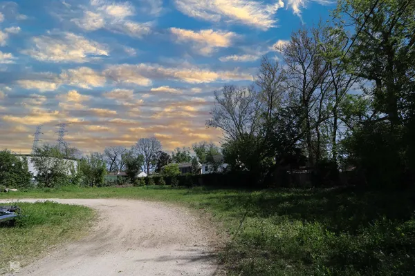a view of a yard
