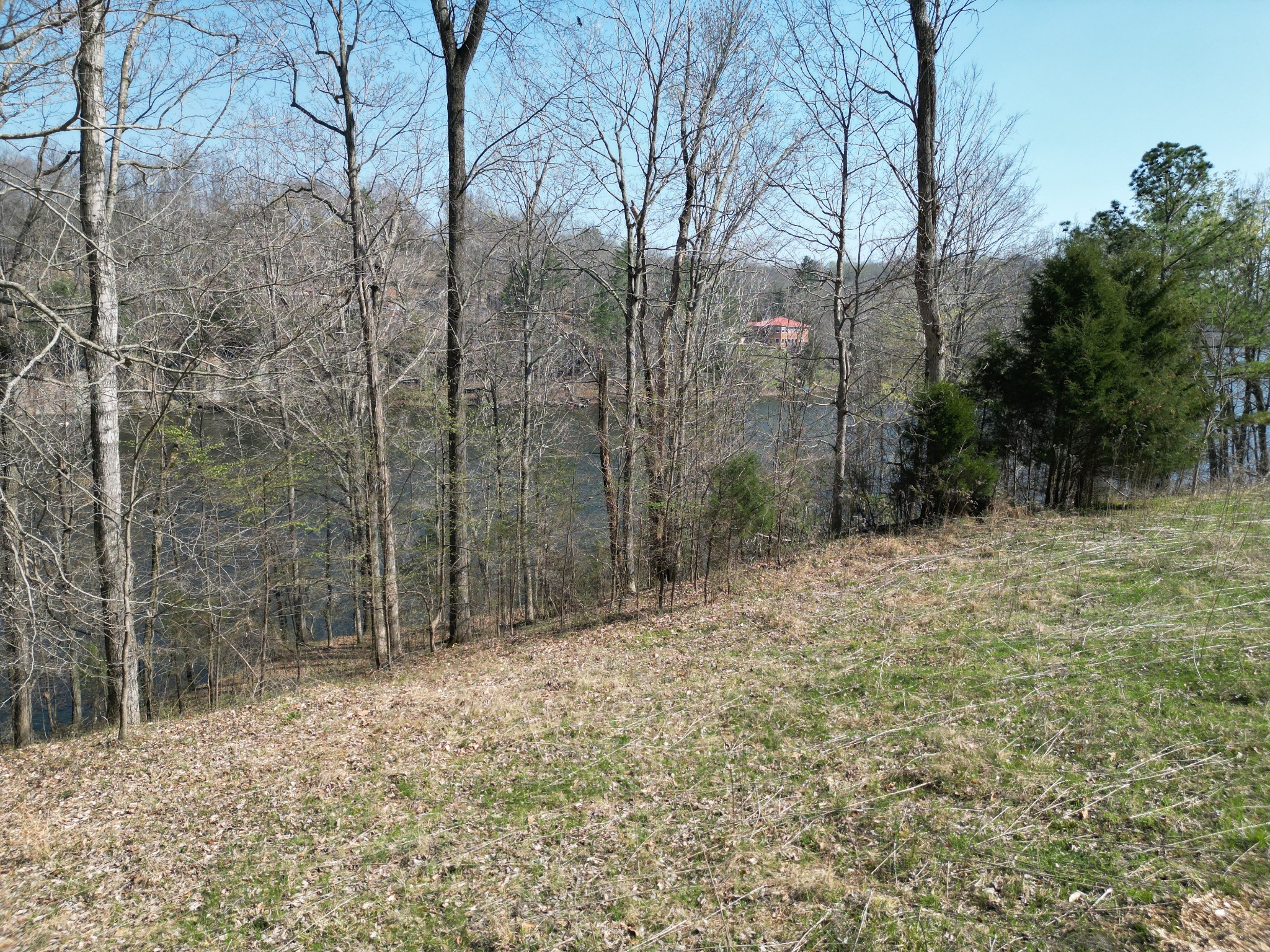 0 Canyon Run Road Lewisburg, KY 42256 - Photo 1 of 11 a view of a forest with trees