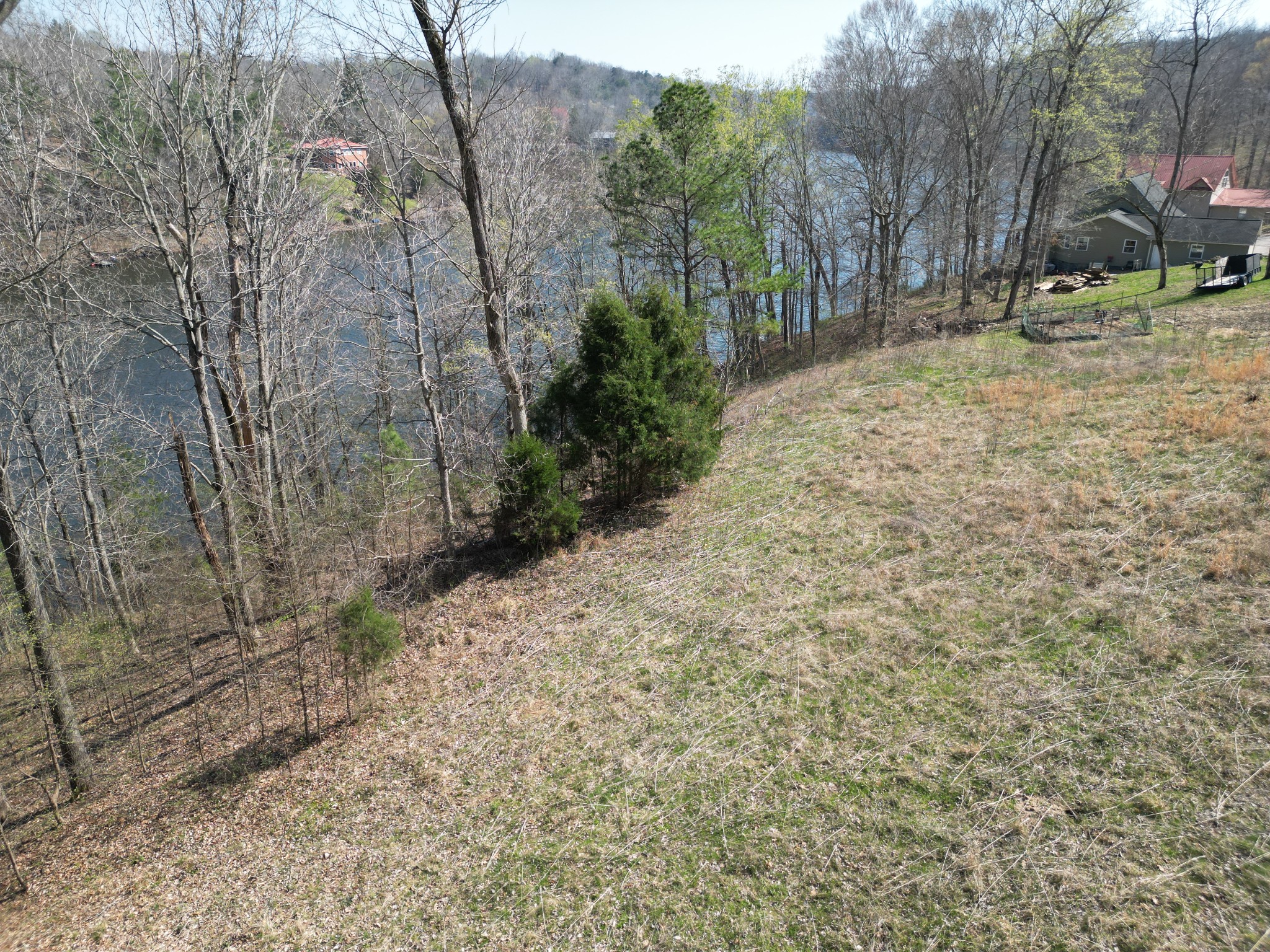 0 Canyon Run Road Lewisburg, KY 42256 - Photo 6 of 11 a view of a yard with trees