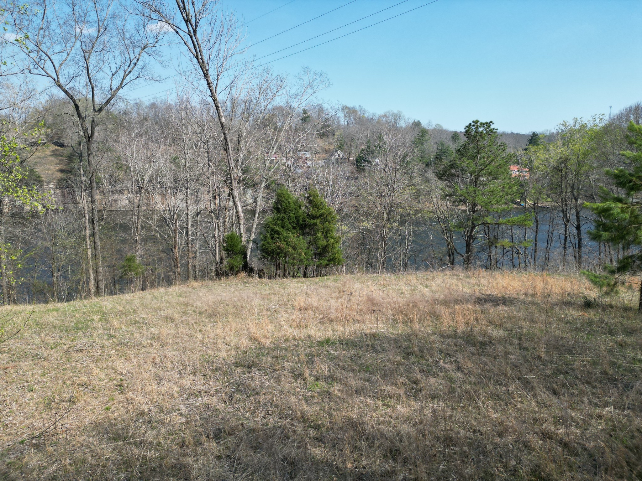 0 Canyon Run Road Lewisburg, KY 42256 - Photo 8 of 11 a backyard of a house with large trees