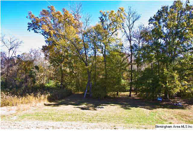 407 Walker Way Pelham, AL 35124 - Photo 22 of 23
