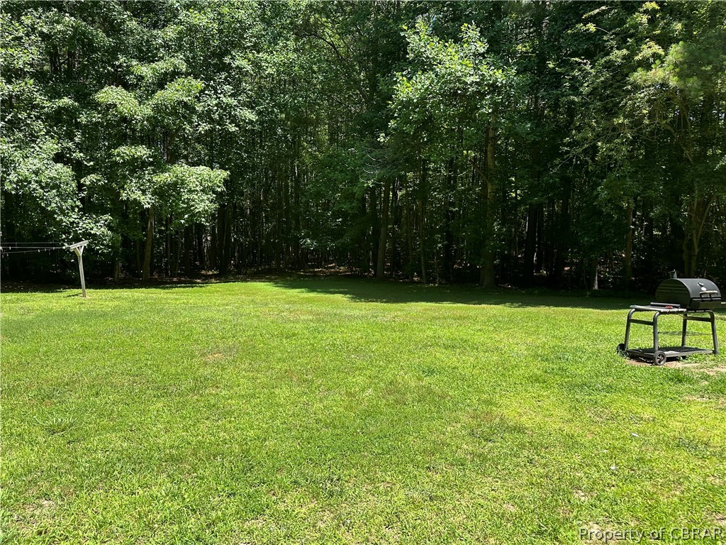 4662 Carsley Road Waverly, VA 23890 - Photo 8 of 24