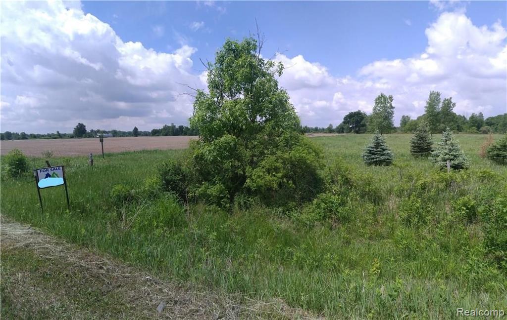 10 A Mason Road Yale, MI 48097 - Photo 4 of 8